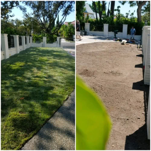 Sod Installation