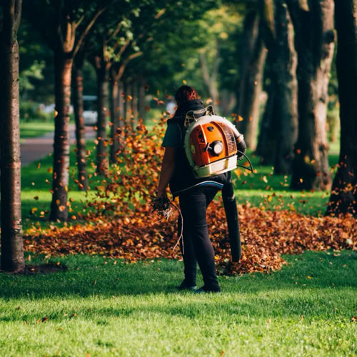 Seasonal & General Clean ups