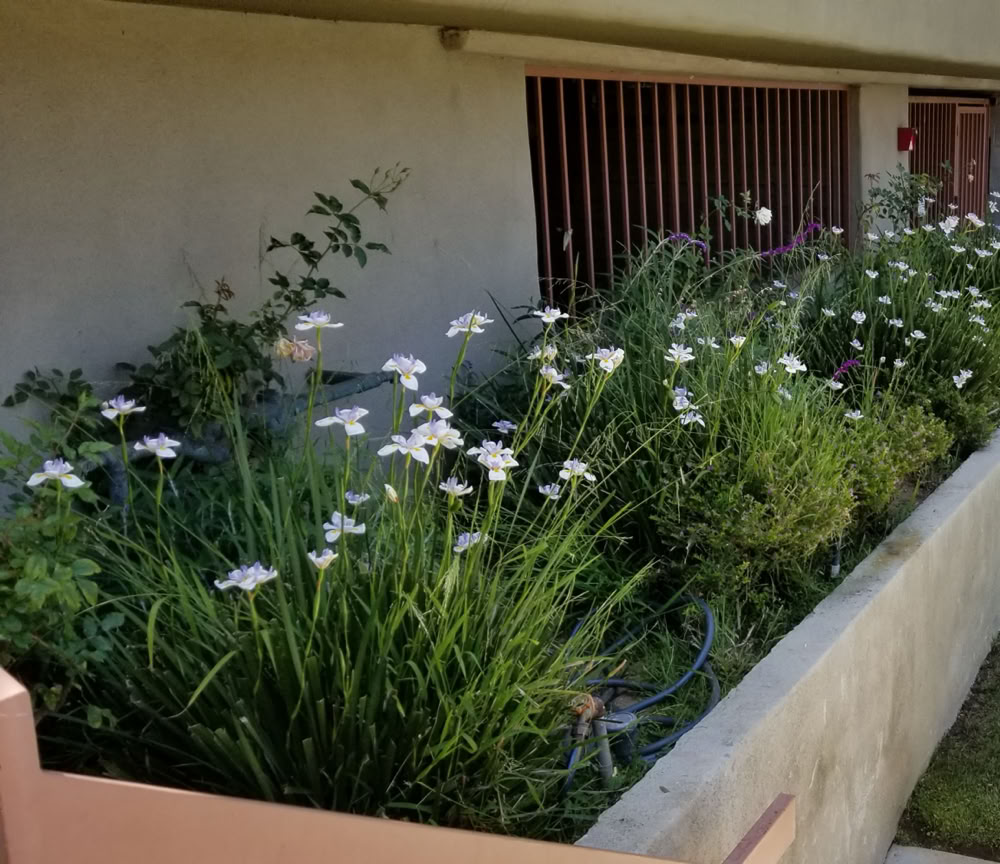 Sprinkler system maintenance project