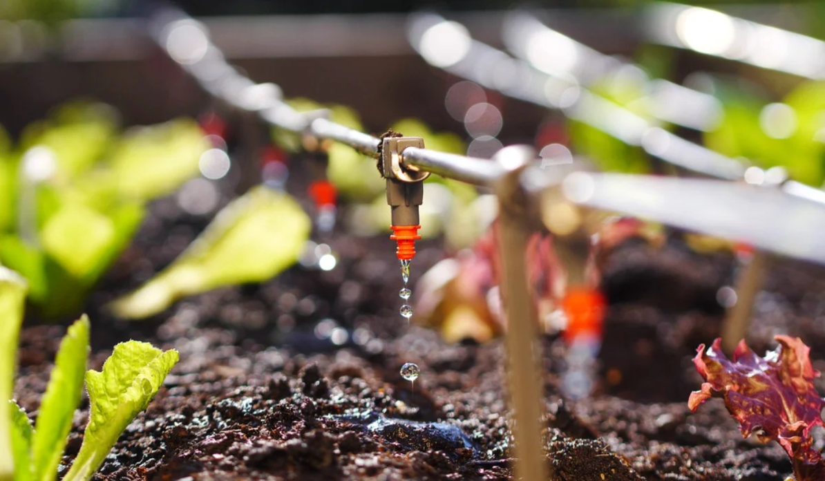 Drip irrigation system for landscaping