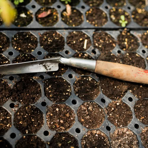 Lawn Seeding Services