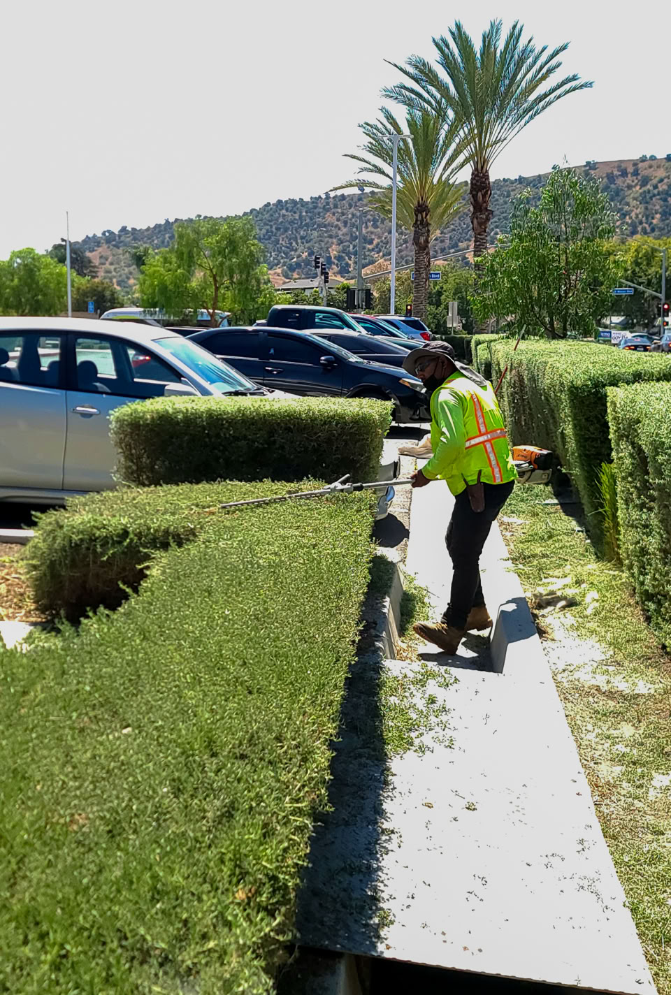 Diaz Lawn Care worker trimming shrubs